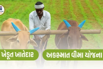 ખેડૂત ખાતેદાર અકસ્માત વીમા યોજના