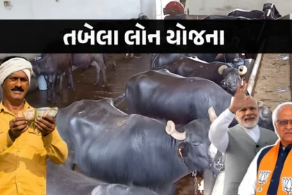 Tabela Loan Yojana Gujarat