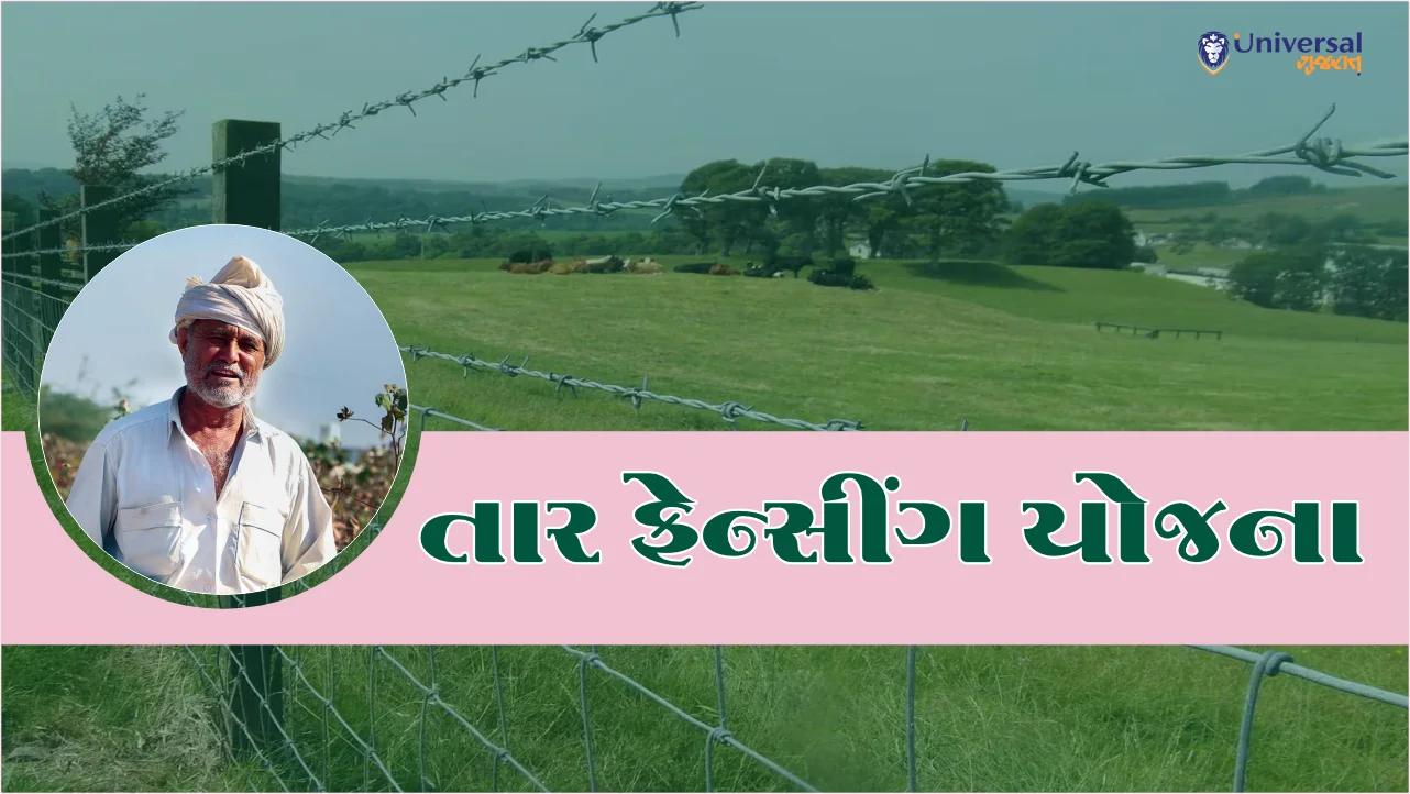 તાર ફેન્સીંગ યોજના