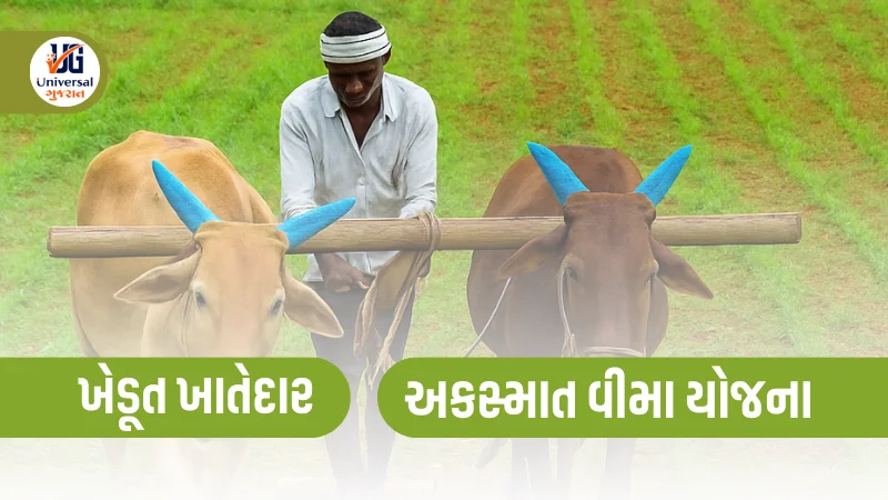 ખેડૂત ખાતેદાર અકસ્માત વીમા યોજના