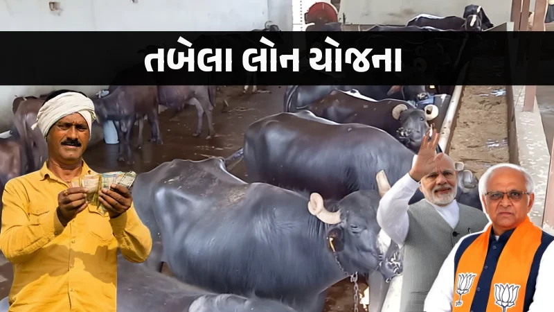 Tabela Loan Yojana Gujarat