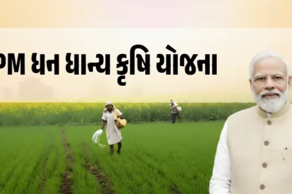 PM ધન ધાન્ય કૃષિ યોજના