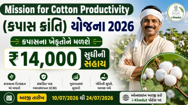 મિશન ફોર કોટન પ્રોડક્ટિવિટી યોજના 2026 હેઠળ કપાસના ખેડૂતોને ₹14,000 સુધી સહાય
