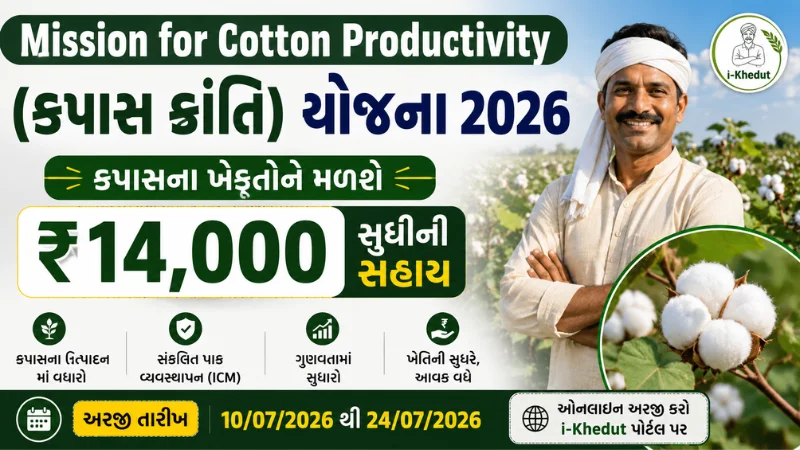 મિશન ફોર કોટન પ્રોડક્ટિવિટી યોજના 2026 હેઠળ કપાસના ખેડૂતોને ₹14,000 સુધી સહાય